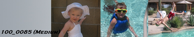 100_0085 (Medium)